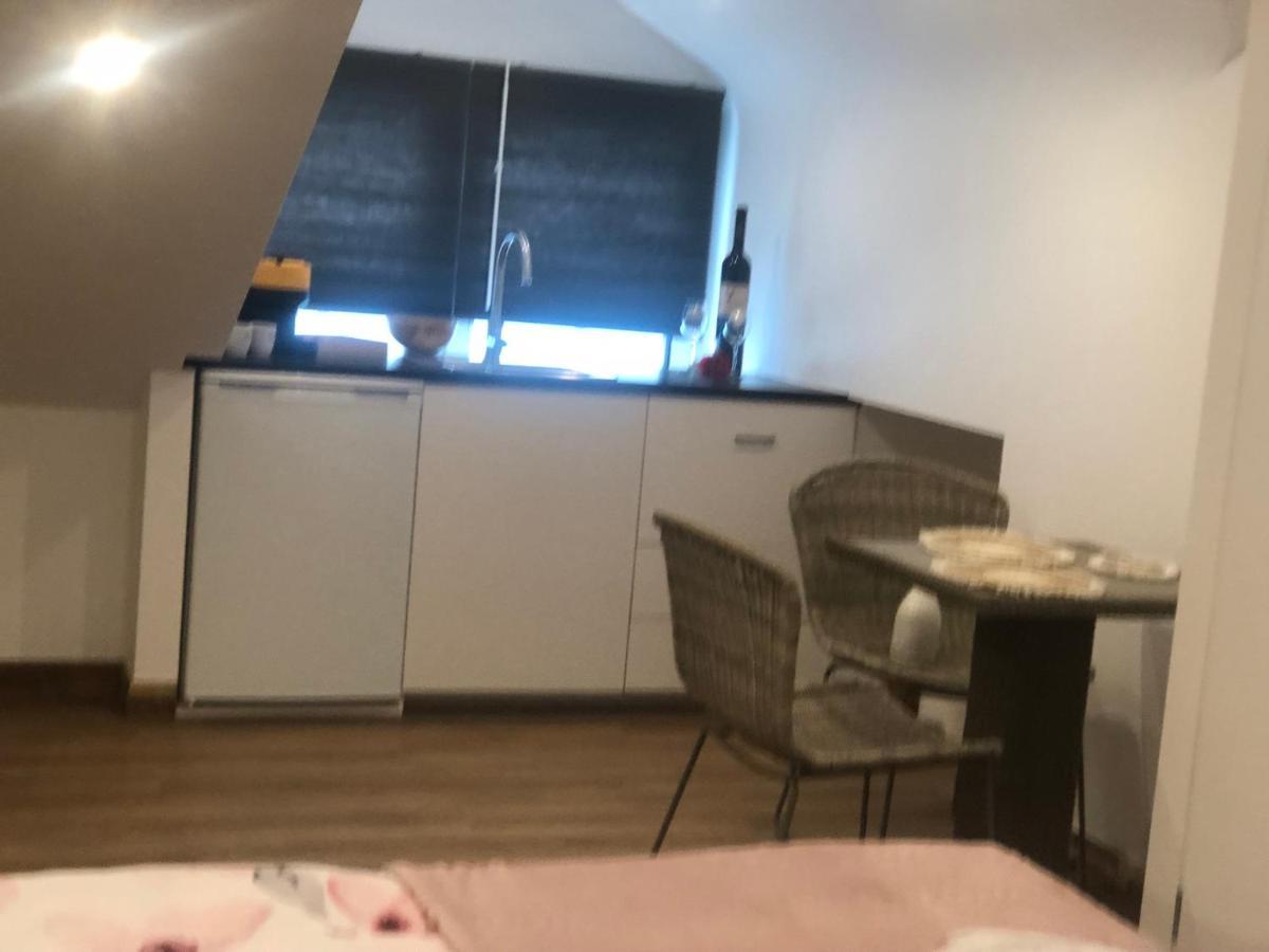 Hallo Maastricht B&B Fientje Экстерьер фото